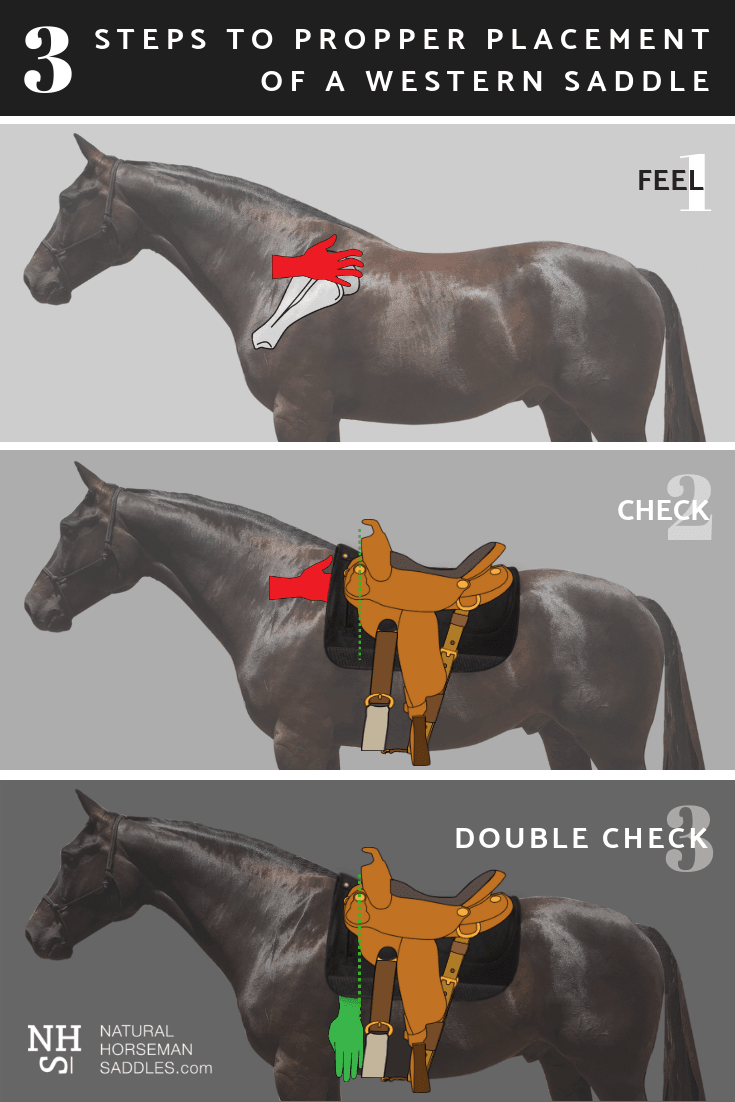 3 Step Saddle Placement BLOG western.png