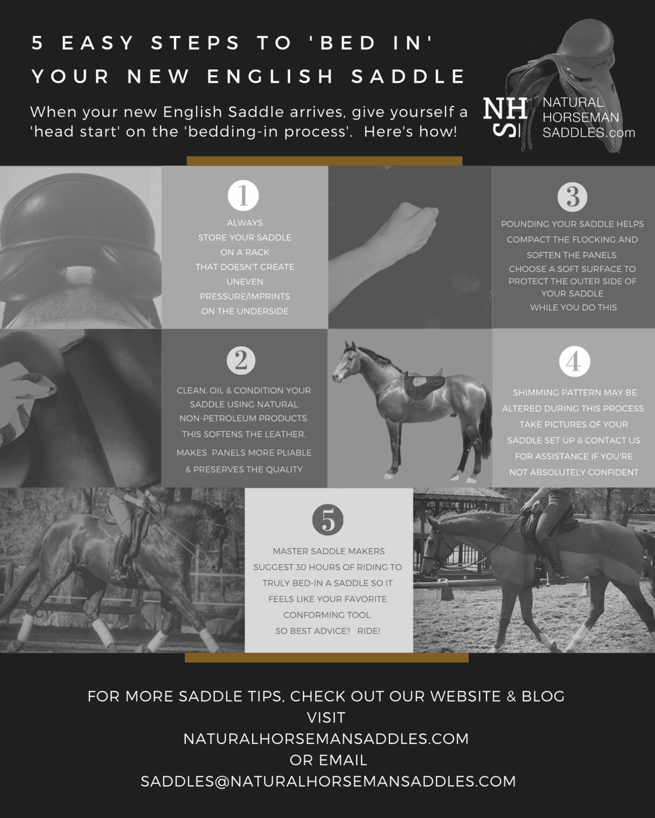 5 Easy Steps to BED IN Your New English Saddle INFOGRAPHIC