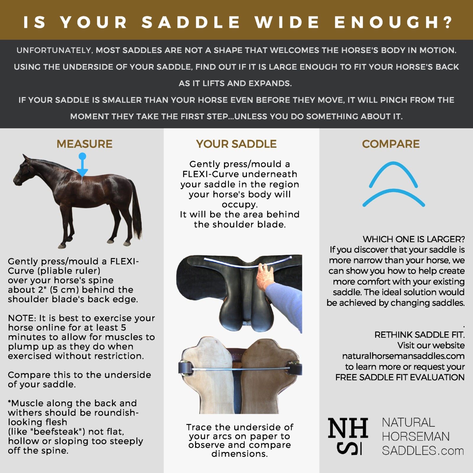 Is your saddle wide enough? Take our test.