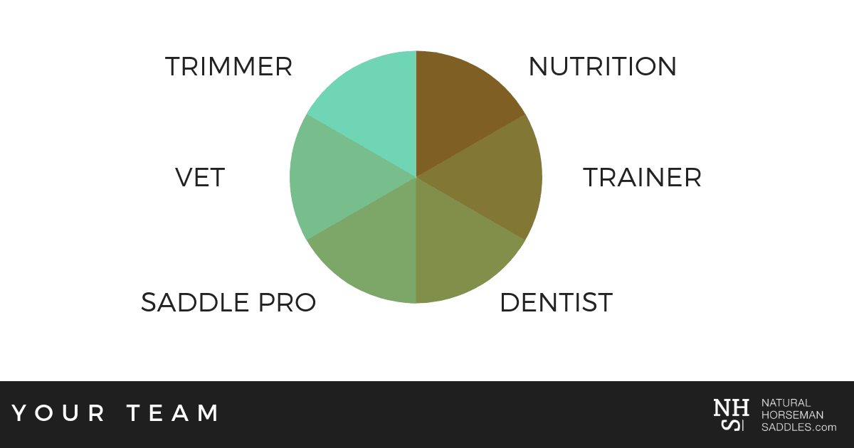 Horse Health Team - Trimmer, Nutrition, Trainer, Dentist, Saddle Pro, Vet.