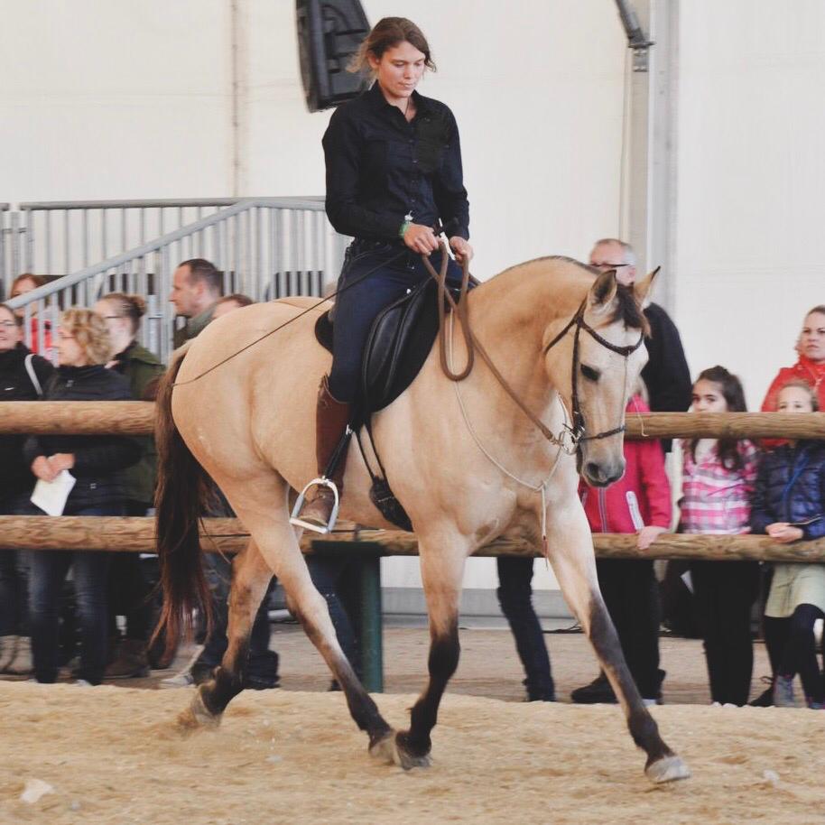 Livi Glaser Professional Horse Trainer riding in a Glenn Secret Pro Dressage Saddle on her Spanish Mare Famosa.