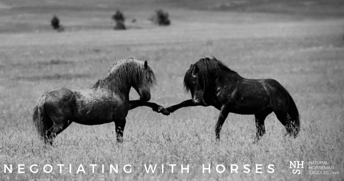 blog-header-negotiating-with-horses