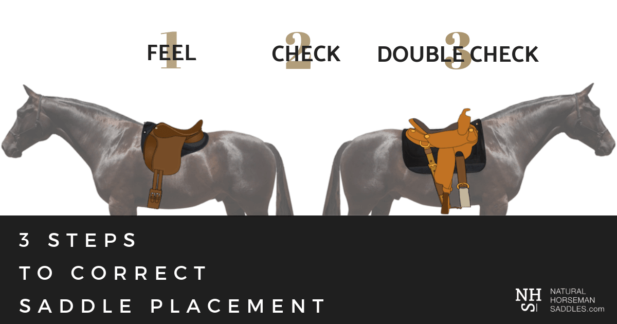 HOW TO IDENTIFY AN ILL-FITTING SADDLE - Natural Horseman Saddles