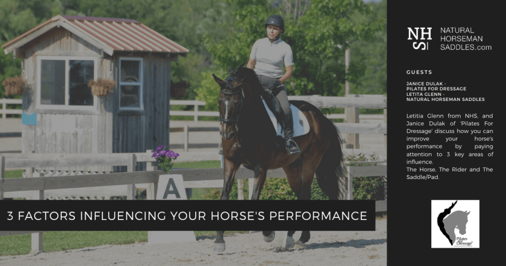 3 FACTORS INFLUENCING YOUR HORSE'S PERFORMANCE - Natural Horseman Saddles