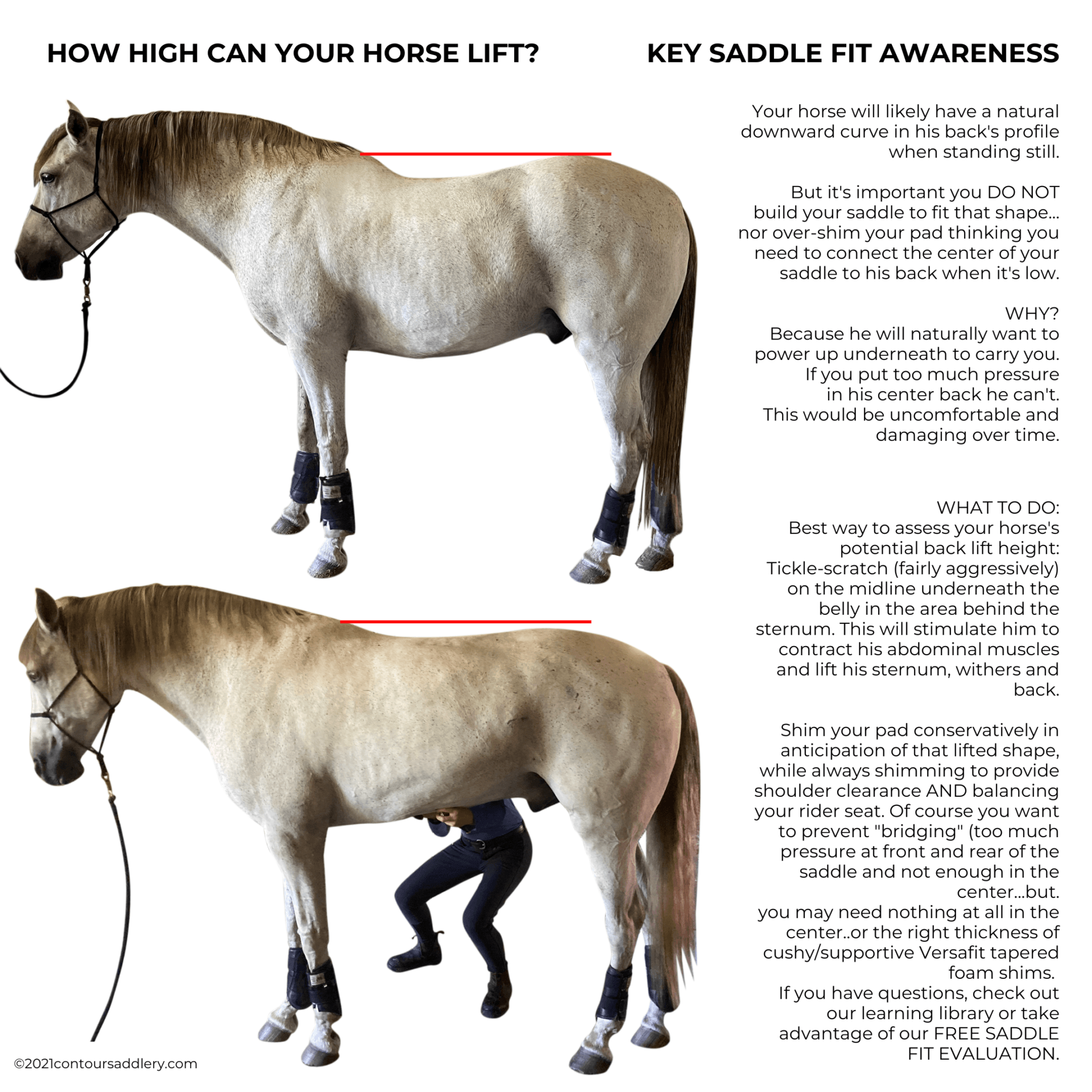 It's a Cinch - Horse Illustrated