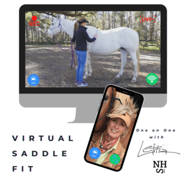 Virtual Saddle Fit