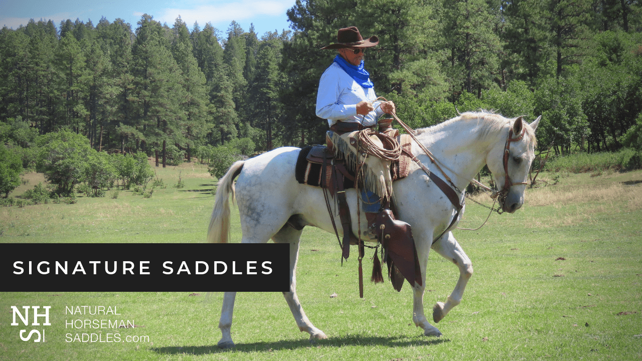 Blog-Header-Signature-Saddles