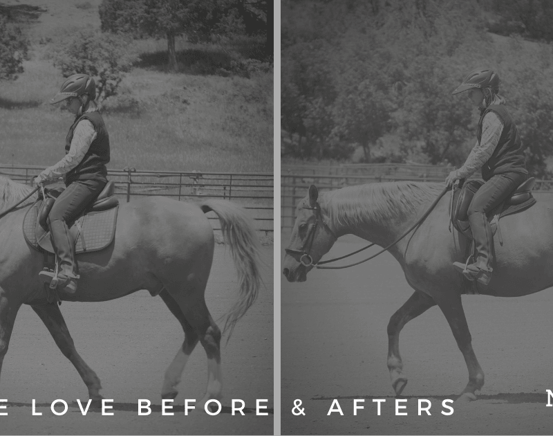 horse saddles Archives Natural Horseman Saddles