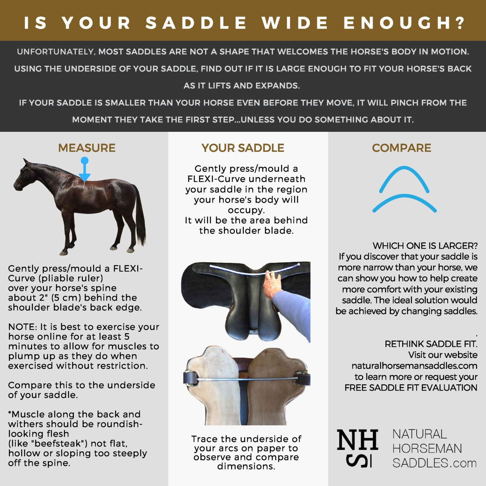 HOW TO IDENTIFY AN ILL-FITTING SADDLE - Natural Horseman Saddles