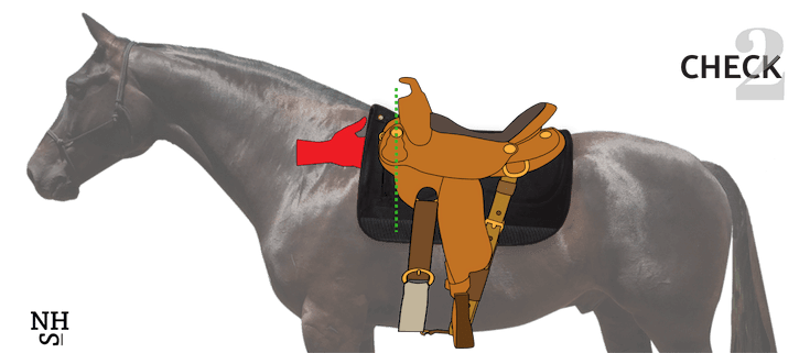 3-steps-to-correct-saddle-placement-horse-saddle-set-up-natural