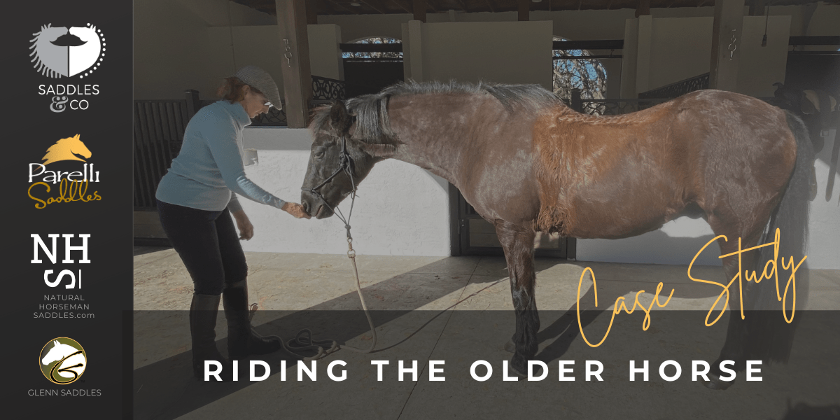 BLOG_HEADER_PIC-RIDING-THE-OLDER-HORSE