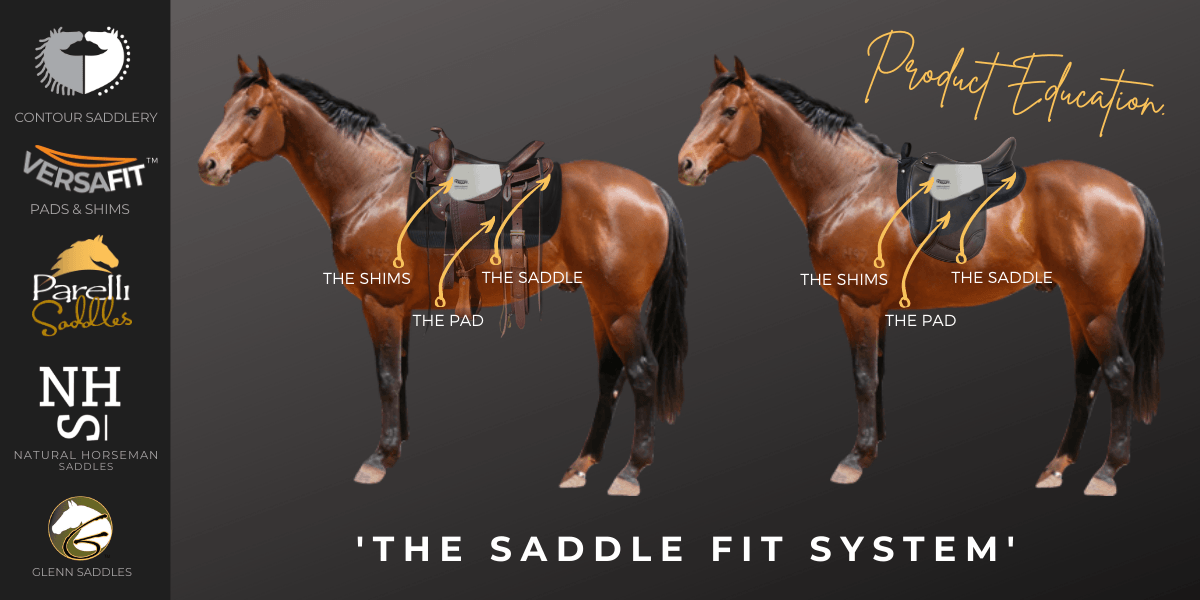 Saddle System Graphic