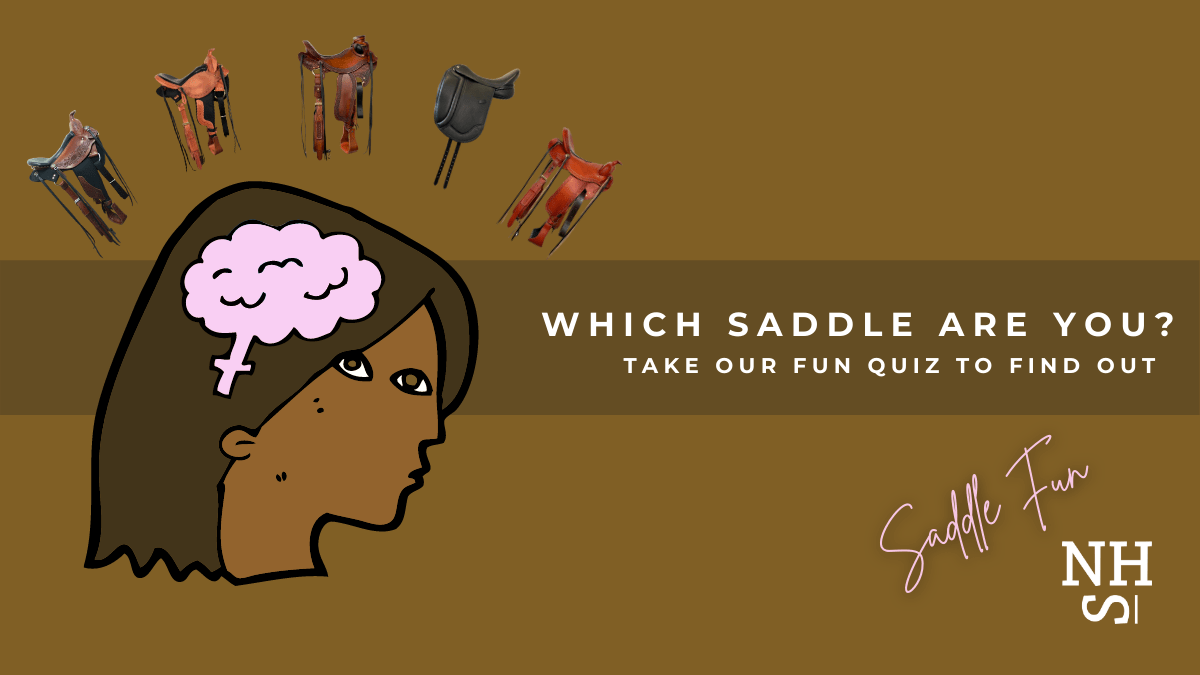 Blog Header Which Saddle Are You Quiz
