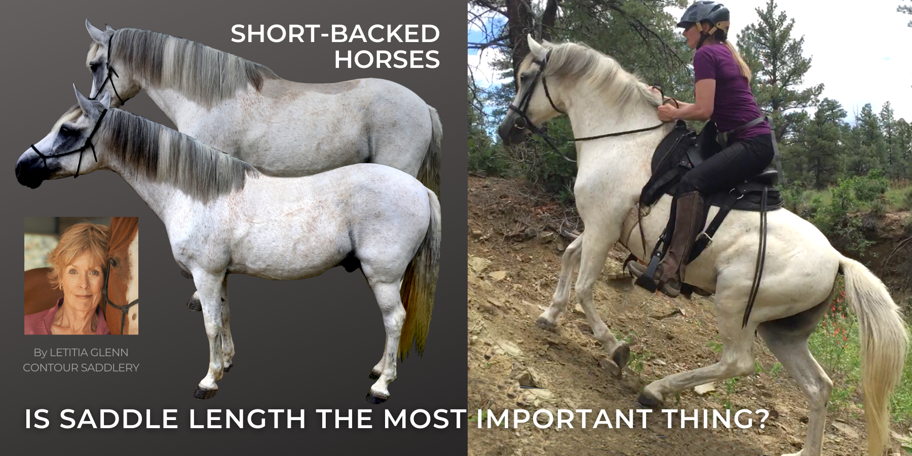 Short Backed Horses and Saddle Position