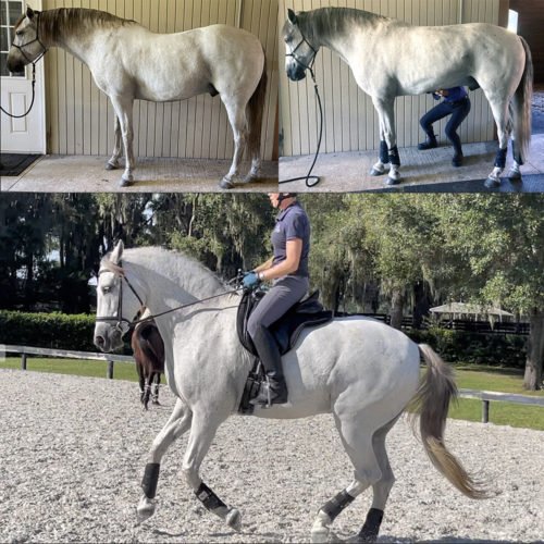 Mele and Courtney stand lift canter copy