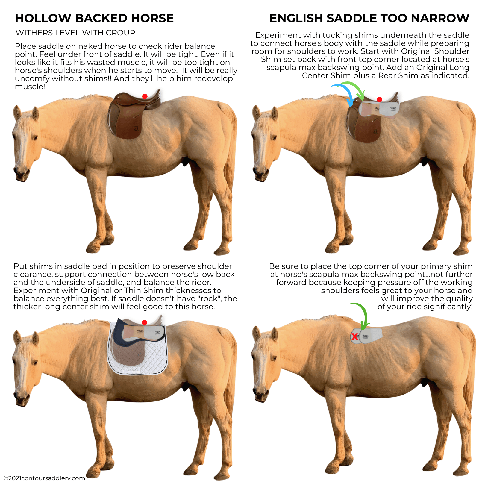 RESCUE HOLLOW Horse English Saddle Too Narrow