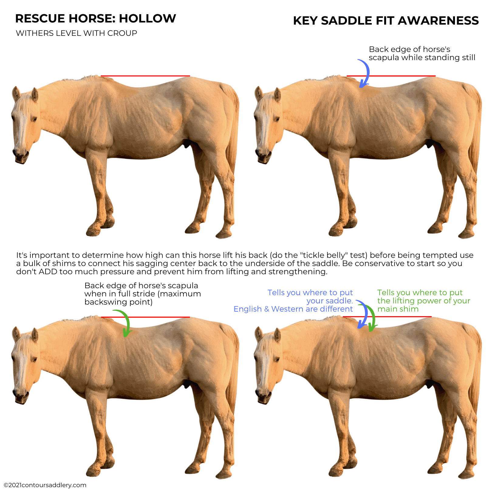 RESCUE HOLLOW LEVEL HORSE profiles w scap marks