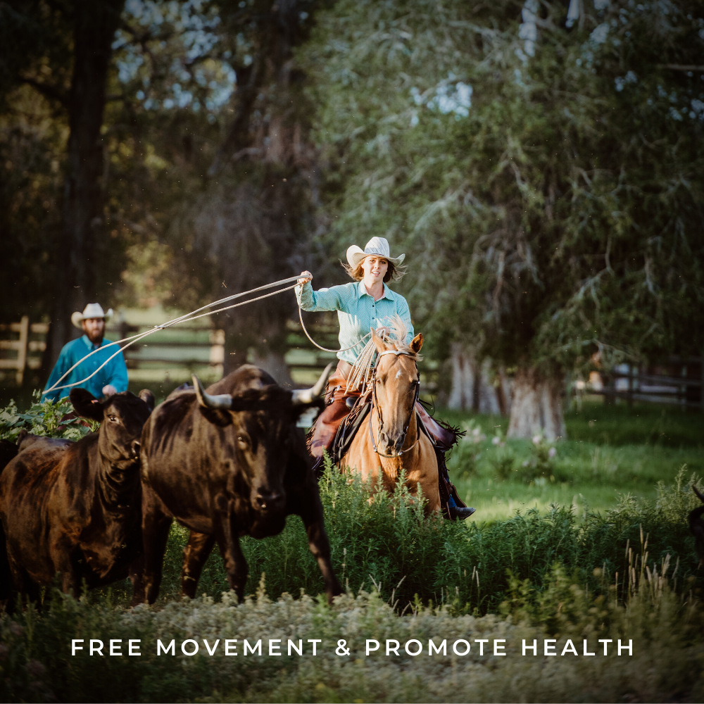 Free movement and promote health