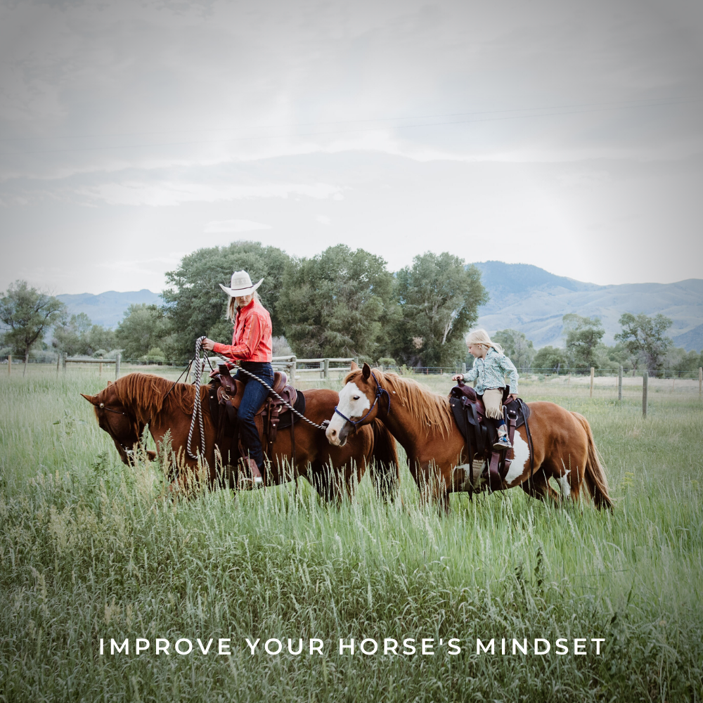 Improve your horse's mindset