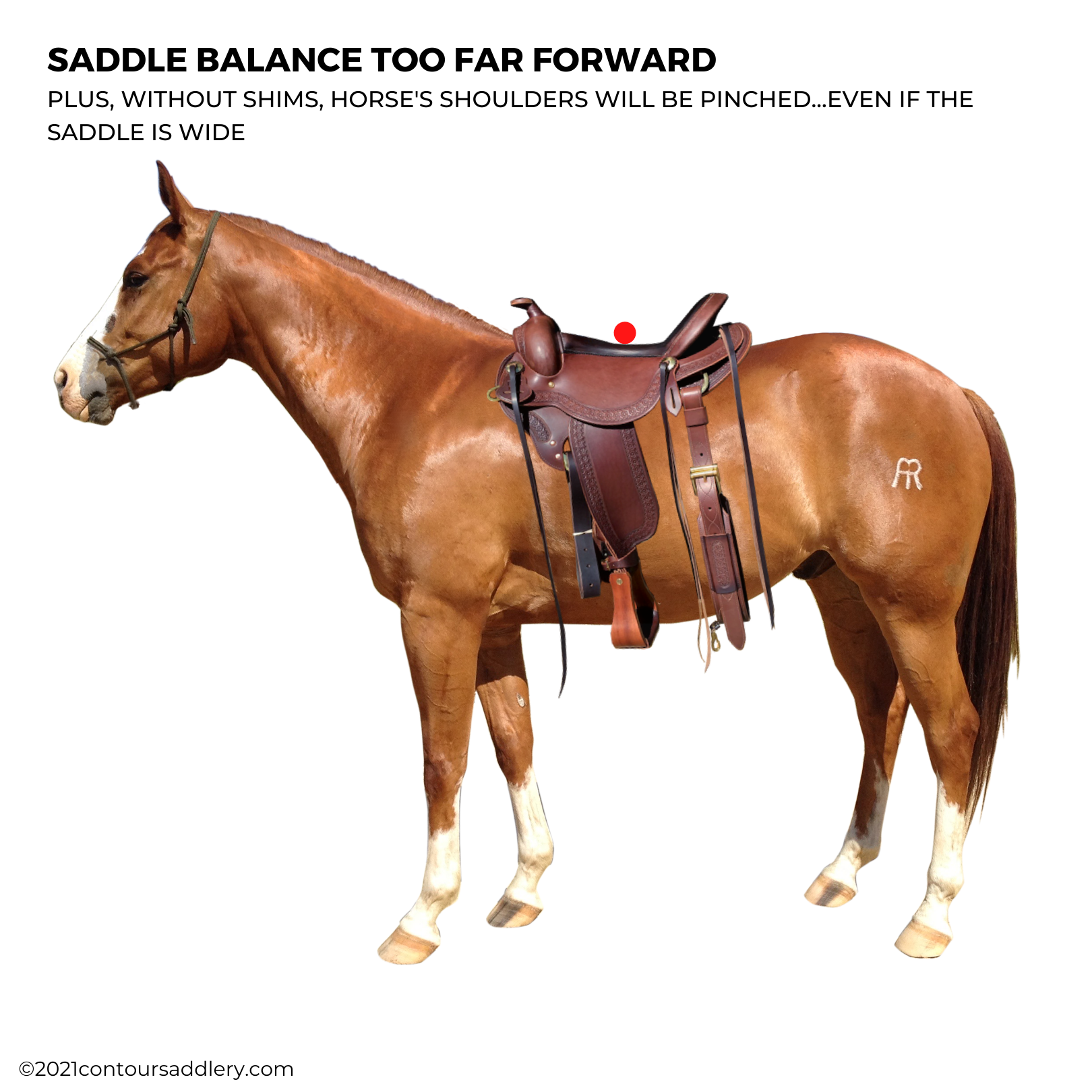 DOWNHILL horse West Saddle no shim bad seat balance too far forward