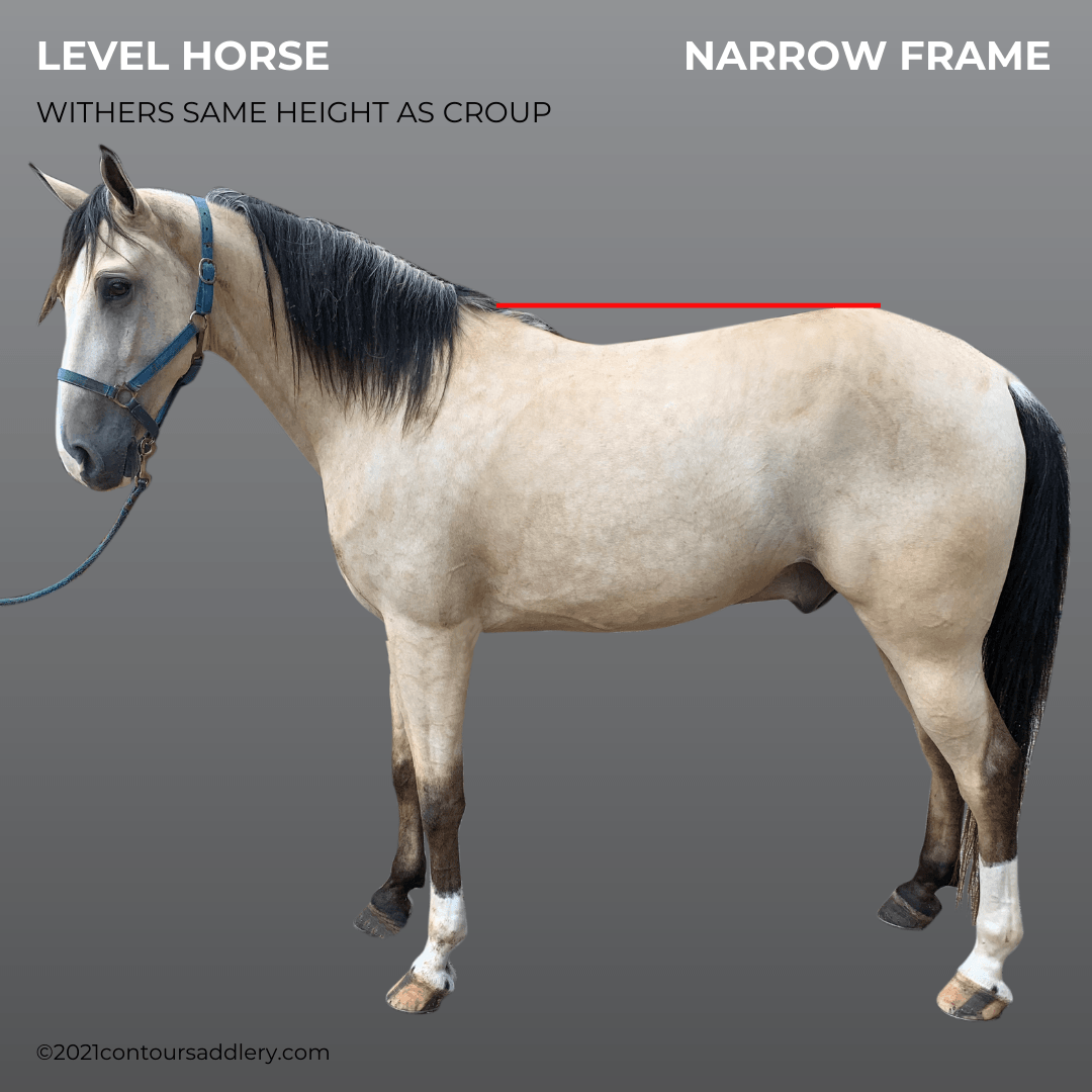 LEVEL HORSE Gallery Profile 2