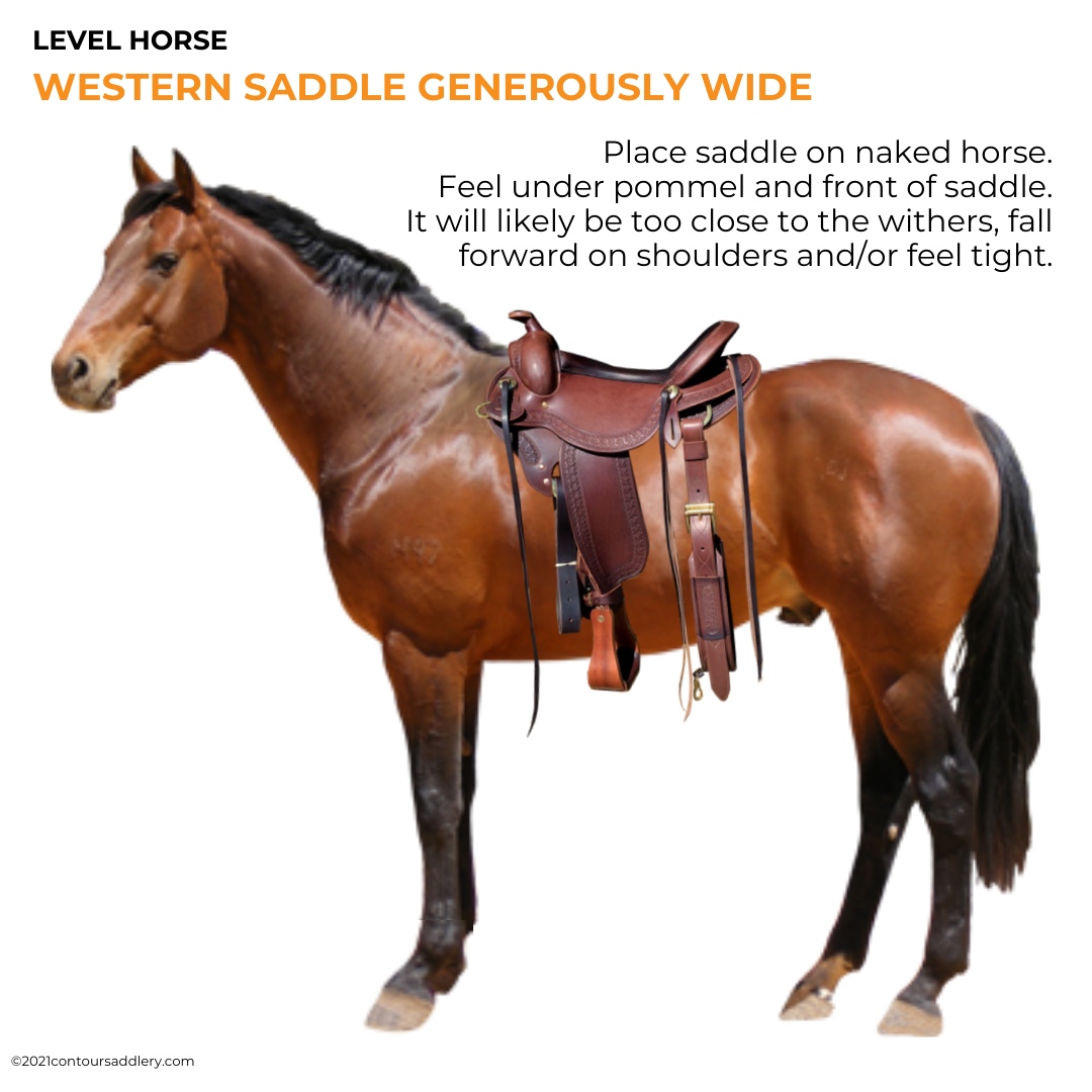 Level Horse Western Saddle Generously Wide 1