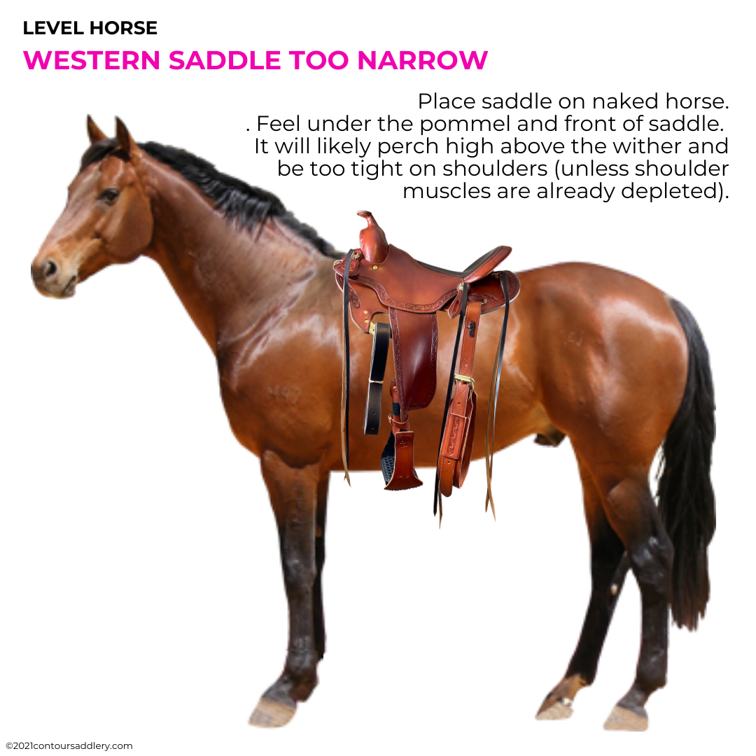 Level Horse naked w Western Saddle too narrow