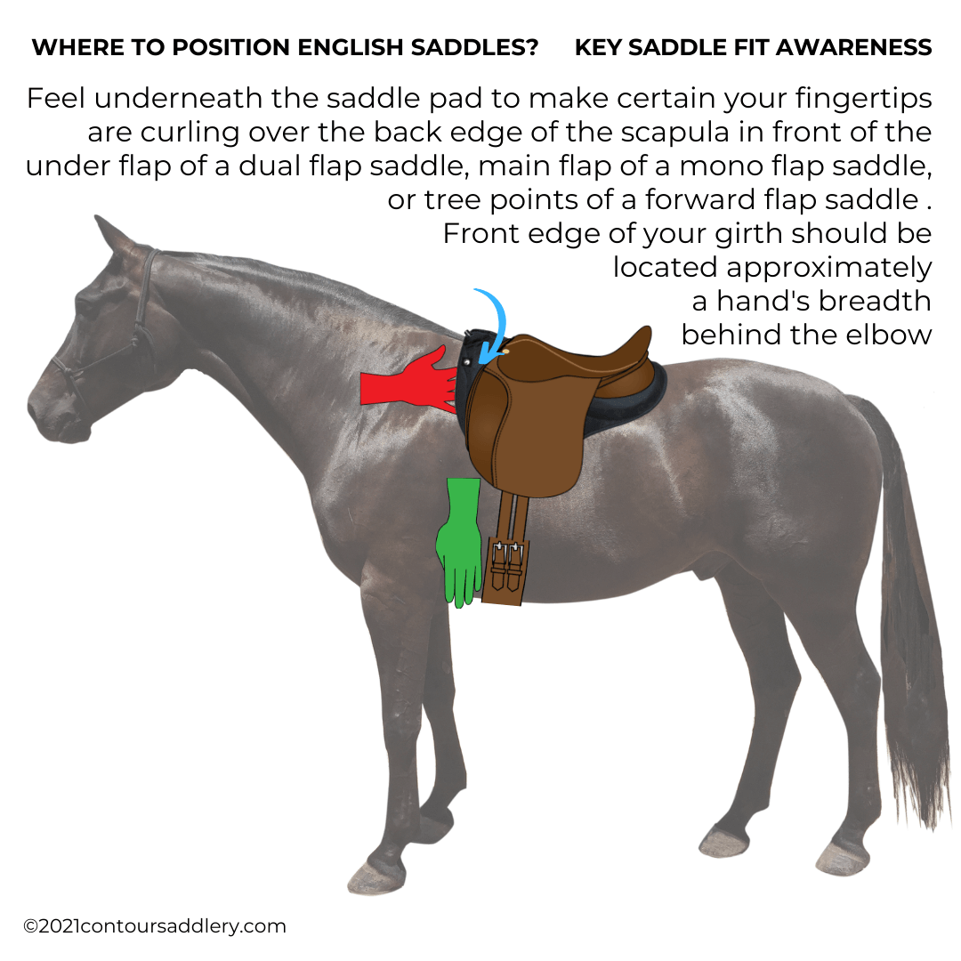 Proper position for an English Saddle