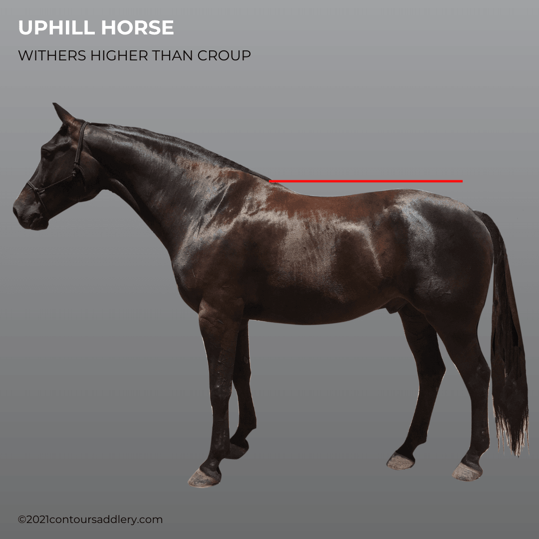 UPHILL HORSE Gallery Profile 2