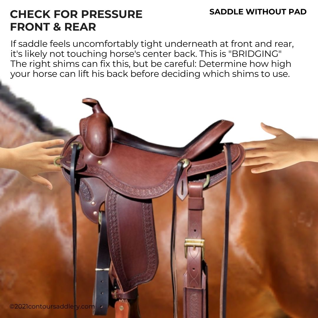 Check for BRIDGING with Western Saddle on naked horse