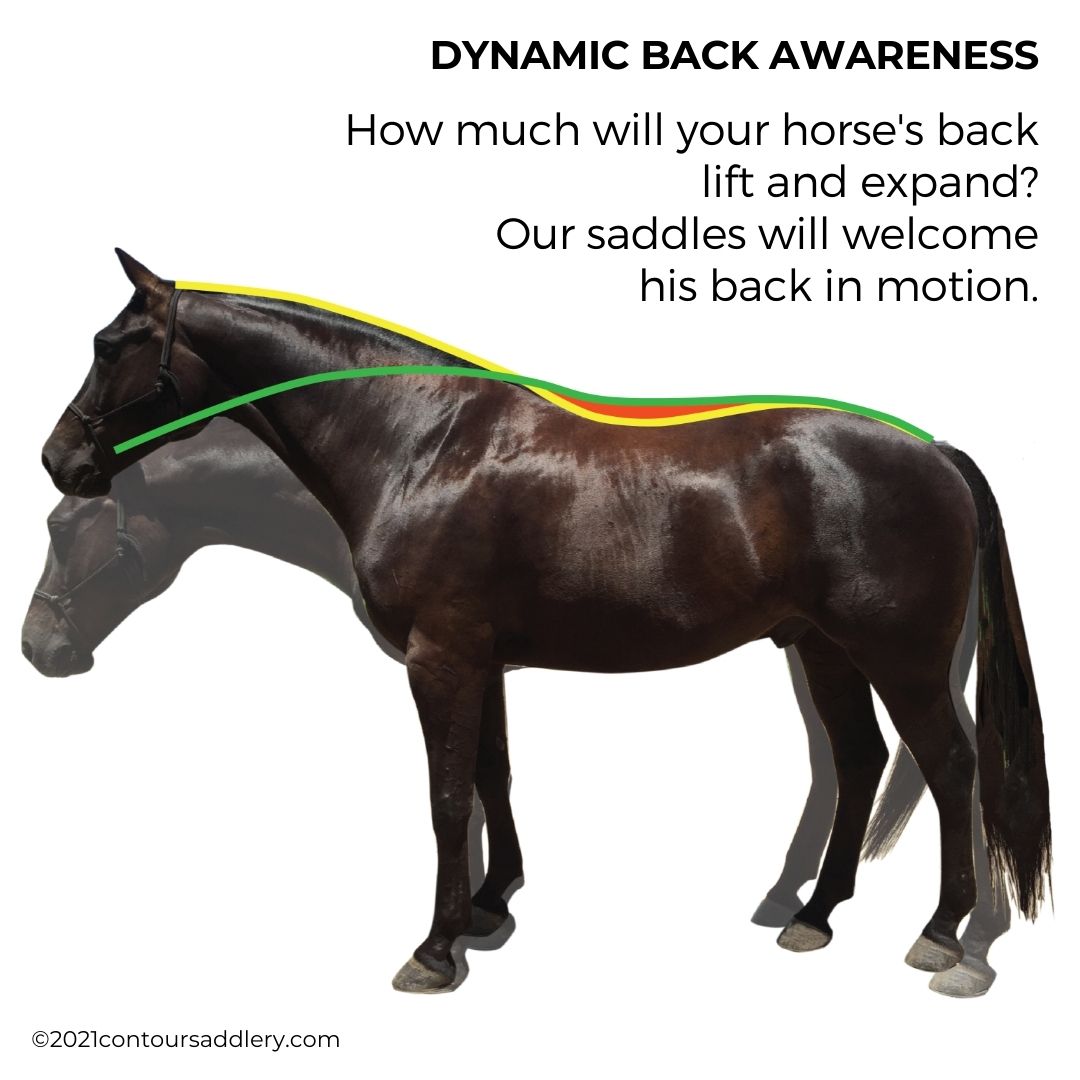 Dynamic Back Awareness
