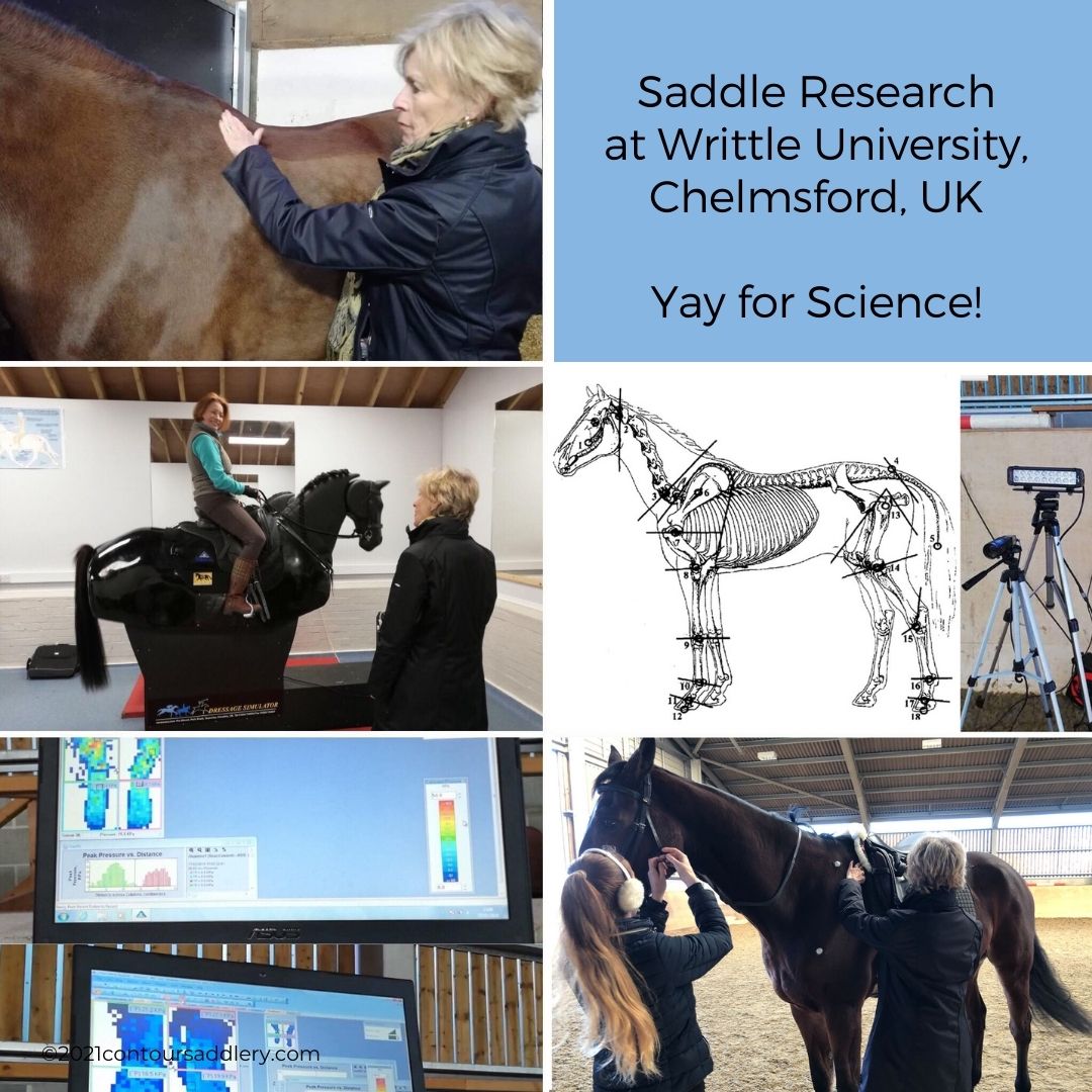 Saddle Research at Writtle University UK