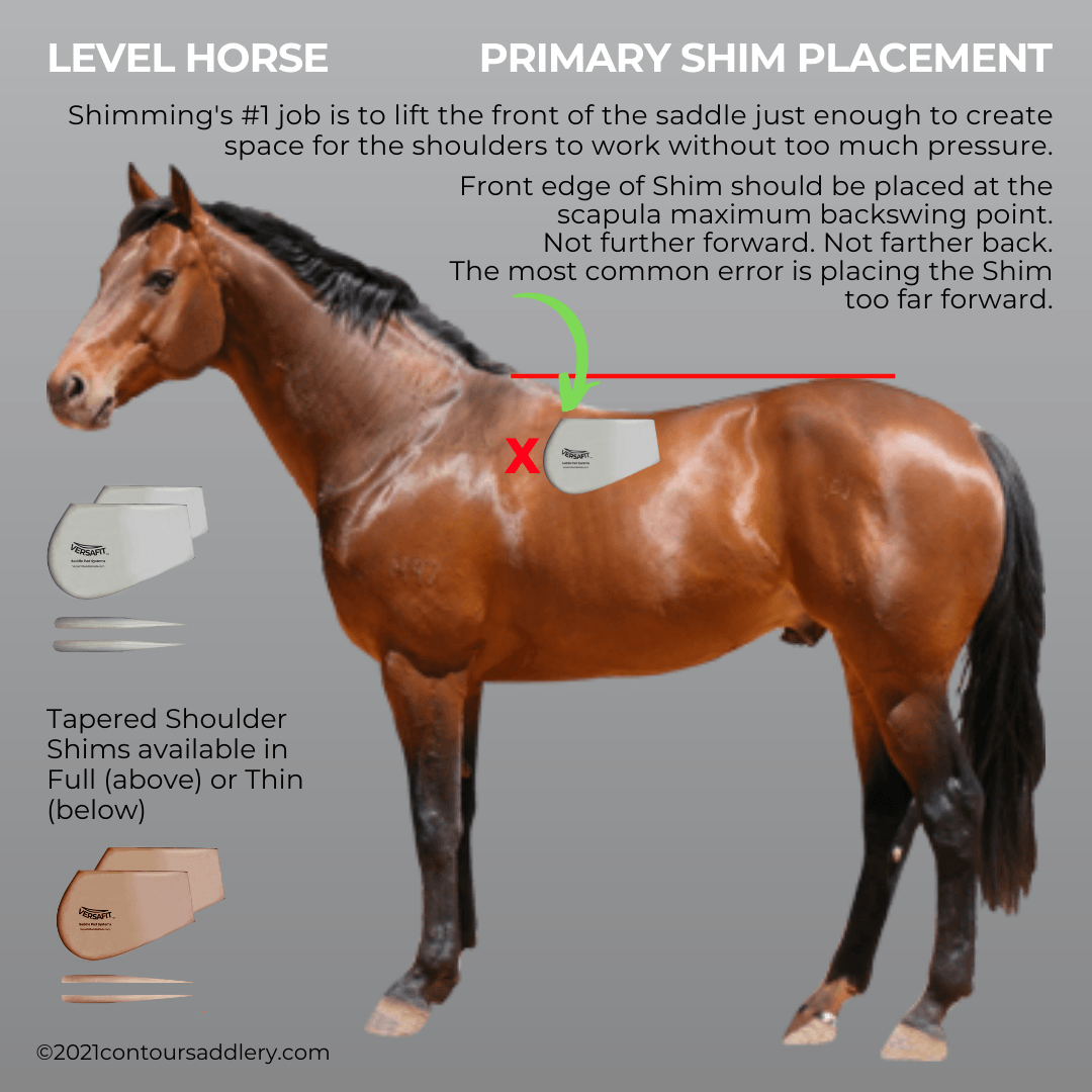 UPHILL HORSE w good muscle Shoulder Shims