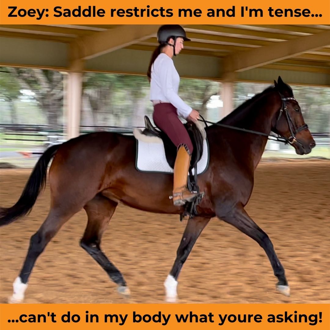 Zoe cant move well under saddle until Zoey gets Halfpad and shims