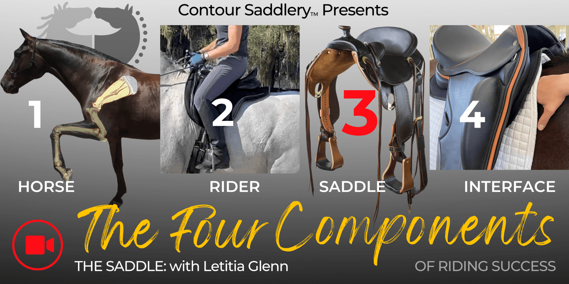 4 Components SADDLE Webinar Newsletter BANNER by Contour Saddlery