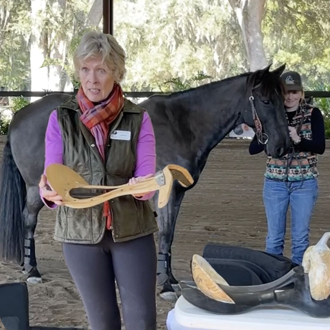 Letitia teaching saddle fit