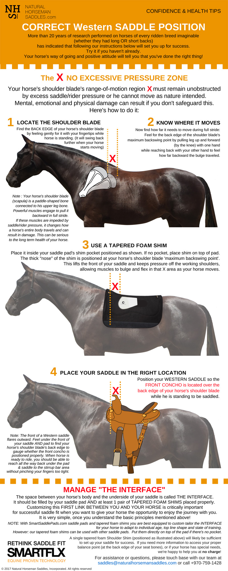 How to Choose the Best Western Saddle Pad